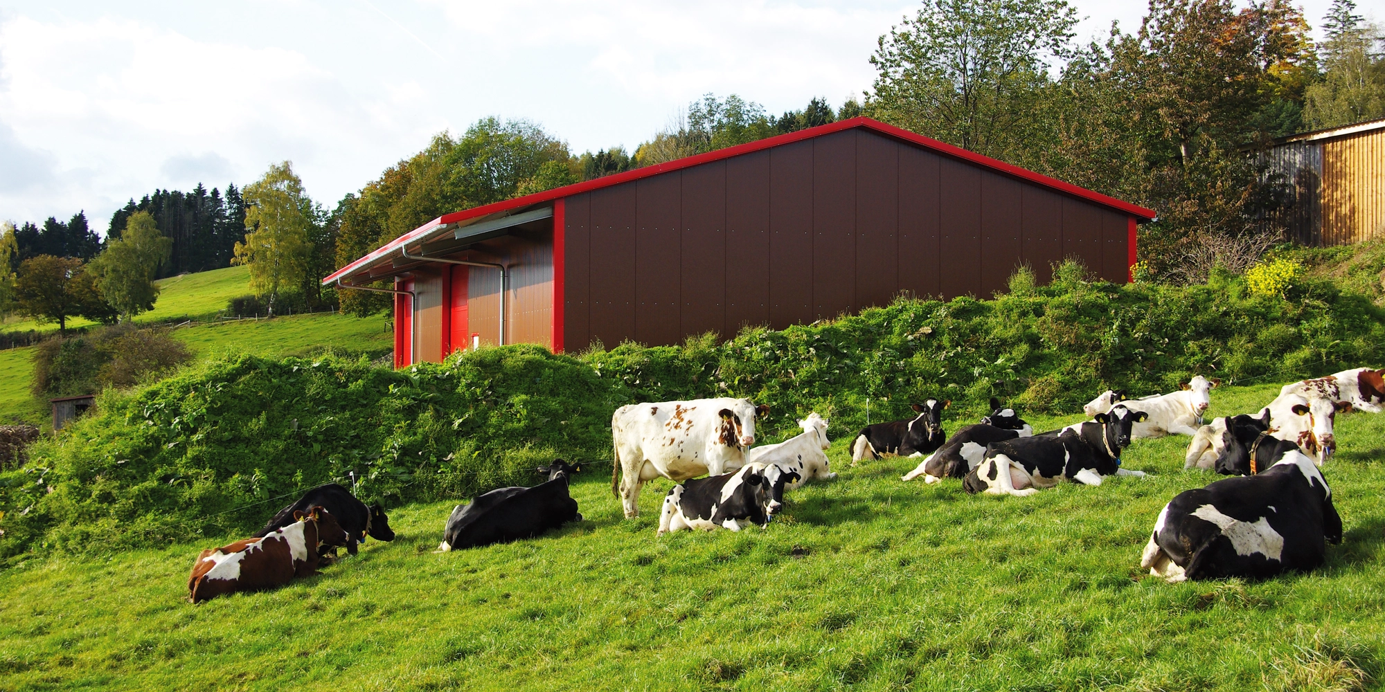 Bâtiment agricole
